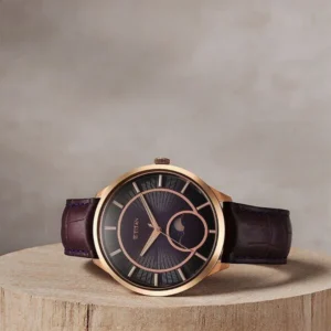 Titan Caelum Sun Moon Sub-Dial in Imperial Purple - Stellar Edition - TITAN 10028WL01
