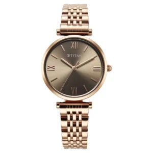 Titan Workmode Quartz Analog Grey Dial Metal Strap watch For Women - TITAN 95313WM01