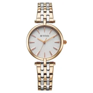 Titan Work Mode Quartz Analog Silver Dial Two Toned Metal Strap Watch For Women - TITAN 95351KM01