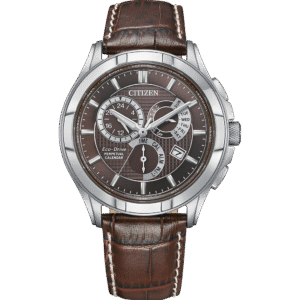 Citizen BL8160-07X Eco-Drive Perpetual Calendar